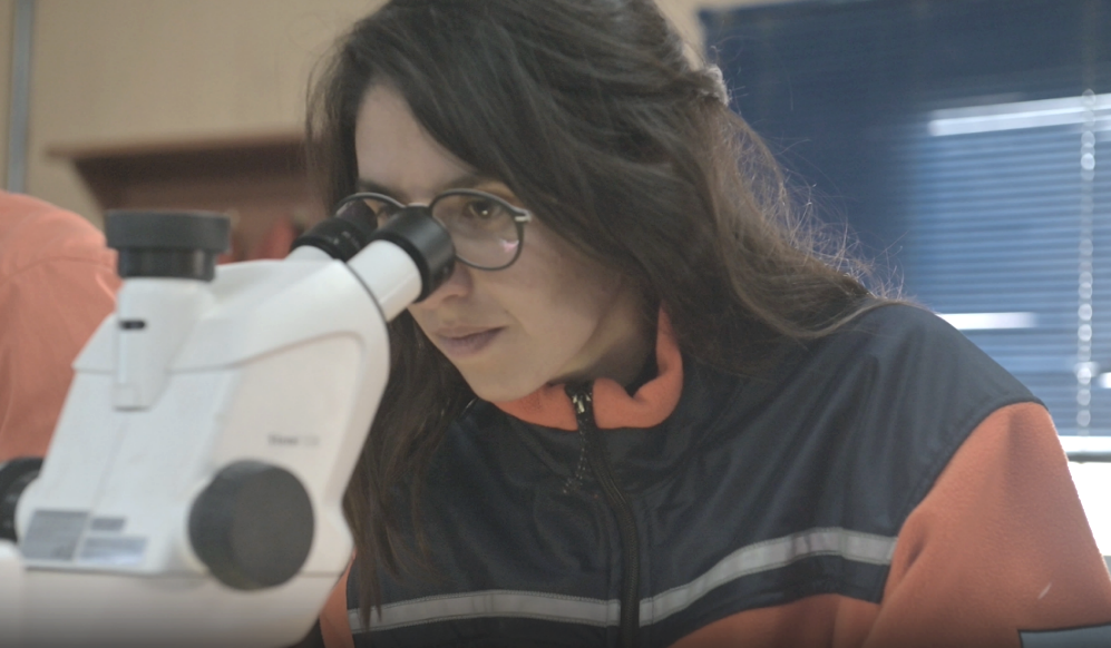 welcometo接待光临888集团(中国)有限公司