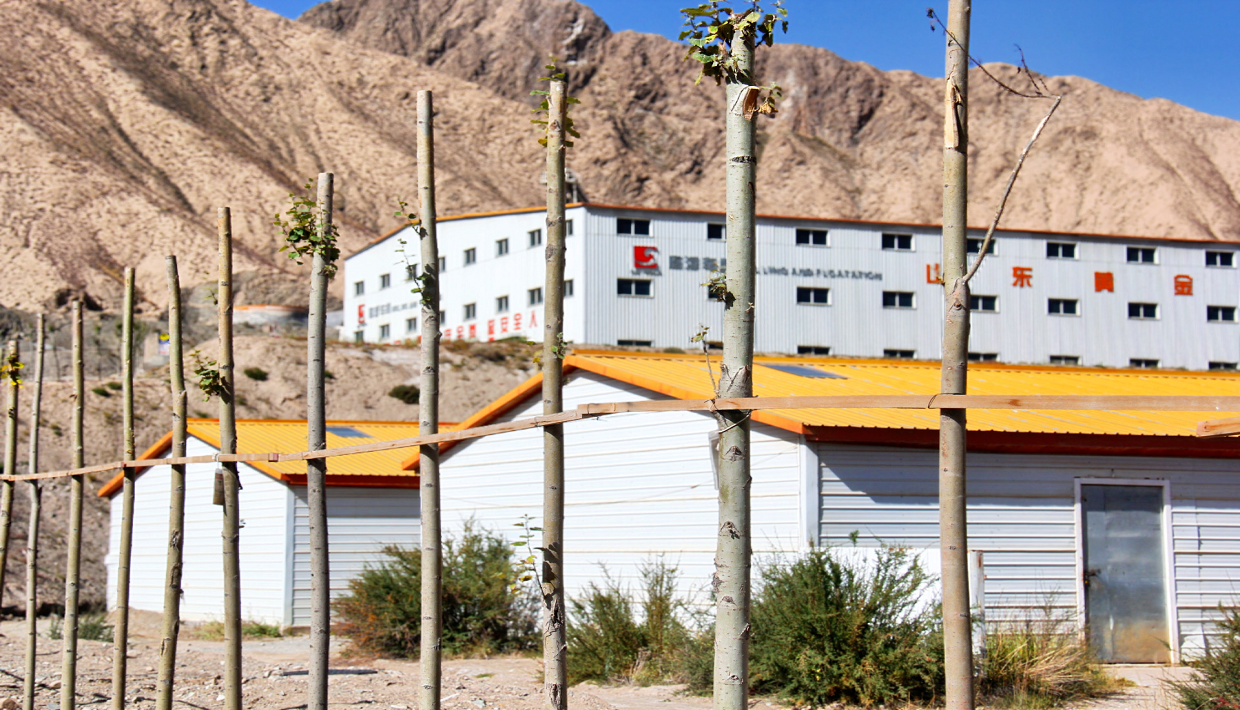 welcometo接待光临888集团(中国)有限公司